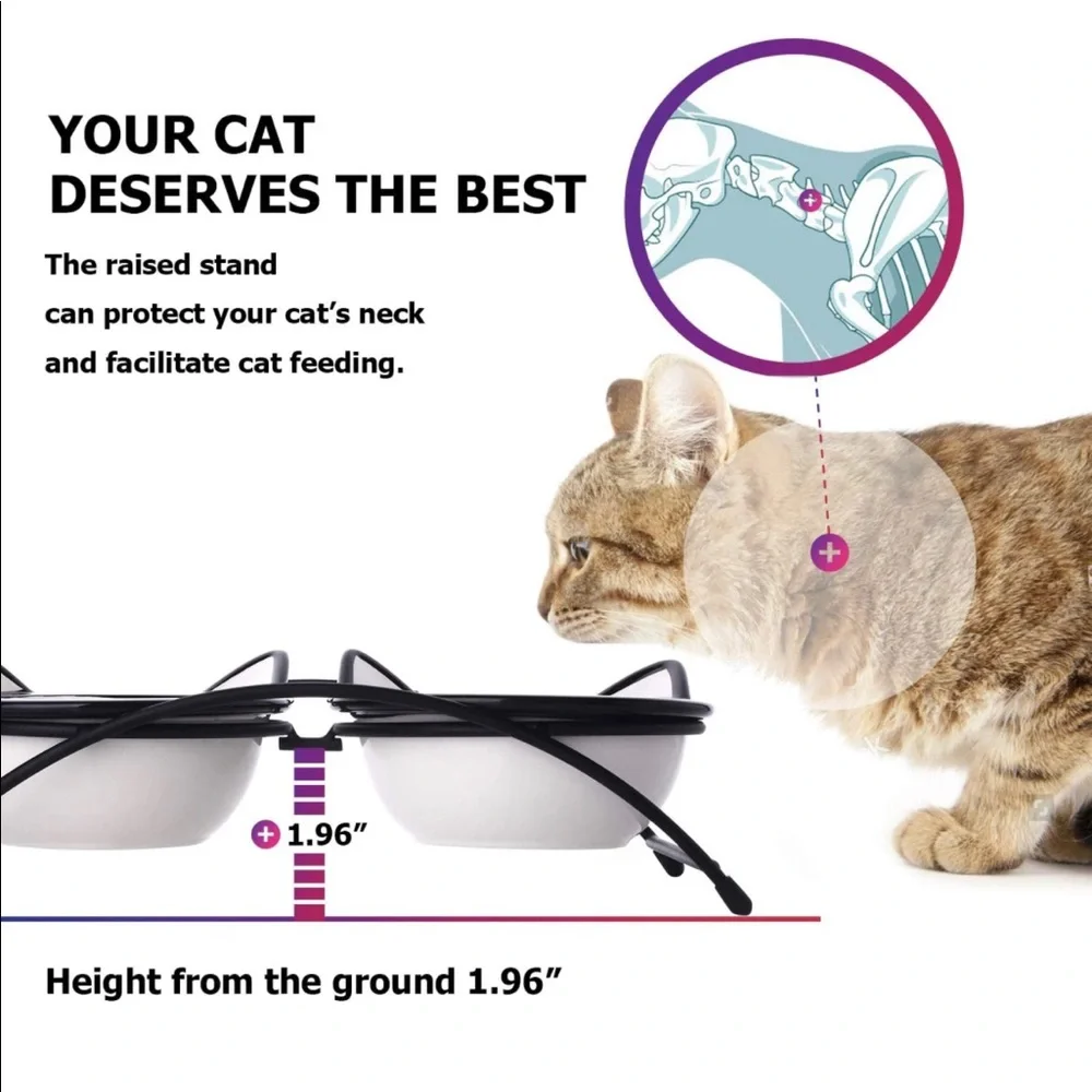 cat food and water bowls